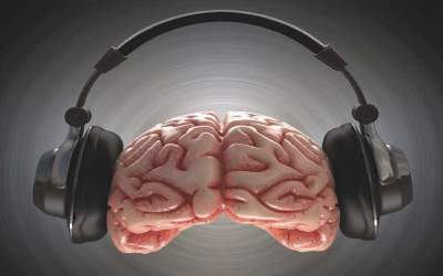 این عادت‌ها مغز را کوچک می‌کند