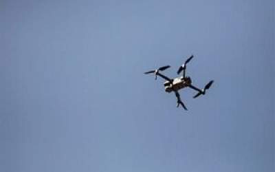 قطع اینترنت شبکه ریز پرنده‌ها را از هم‌ مختل کرده است