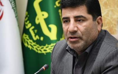 بازگشت ارز ترجیحی برای نهاده‌های دامی و کالاهای اساسی