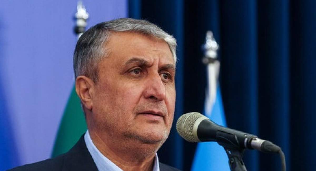 رئیس سازمان انرژی اتمی: در دنیا قانون جنگل حاکم است