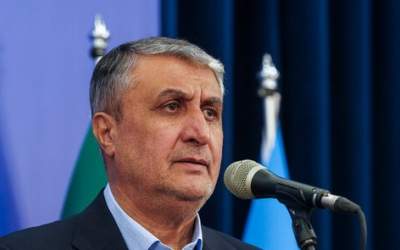 رئیس سازمان انرژی اتمی: در دنیا قانون جنگل حاکم است