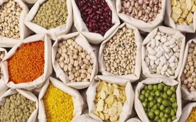 صادرات حبوبات تا اطلاع ثانوی ممنوع شد