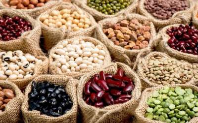 ابلاغ ممنوعیت صادرات حبوبات به گمرکات