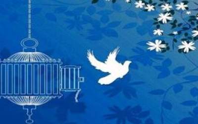 مرگ زندانی محکوم به قصاص پس از بخشش