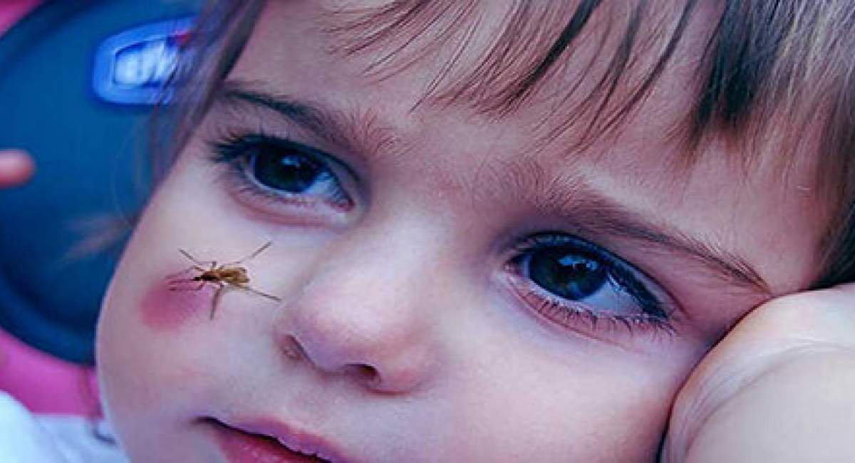 چرا پشه ‌های ناقل مالاریا، انسان را دوست دارند؟