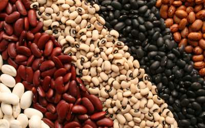 ۱۰۰۰ تن حبوبات به بازار تزریق شد