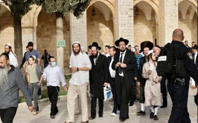 ۶۶ درصد صهیونیست‌ها امید به آینده را از دست داده‌اند