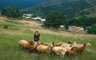 عکس/ باور کنید اینجا ایران است!