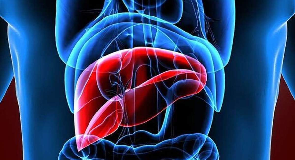 تغذیه مناسب برای تقویت سلامت کبد