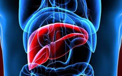 تغذیه مناسب برای تقویت سلامت کبد