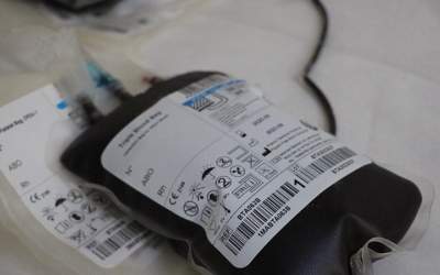 شناسایی ۱۰۰۰ نفر با گروه خونی نادر در کشور