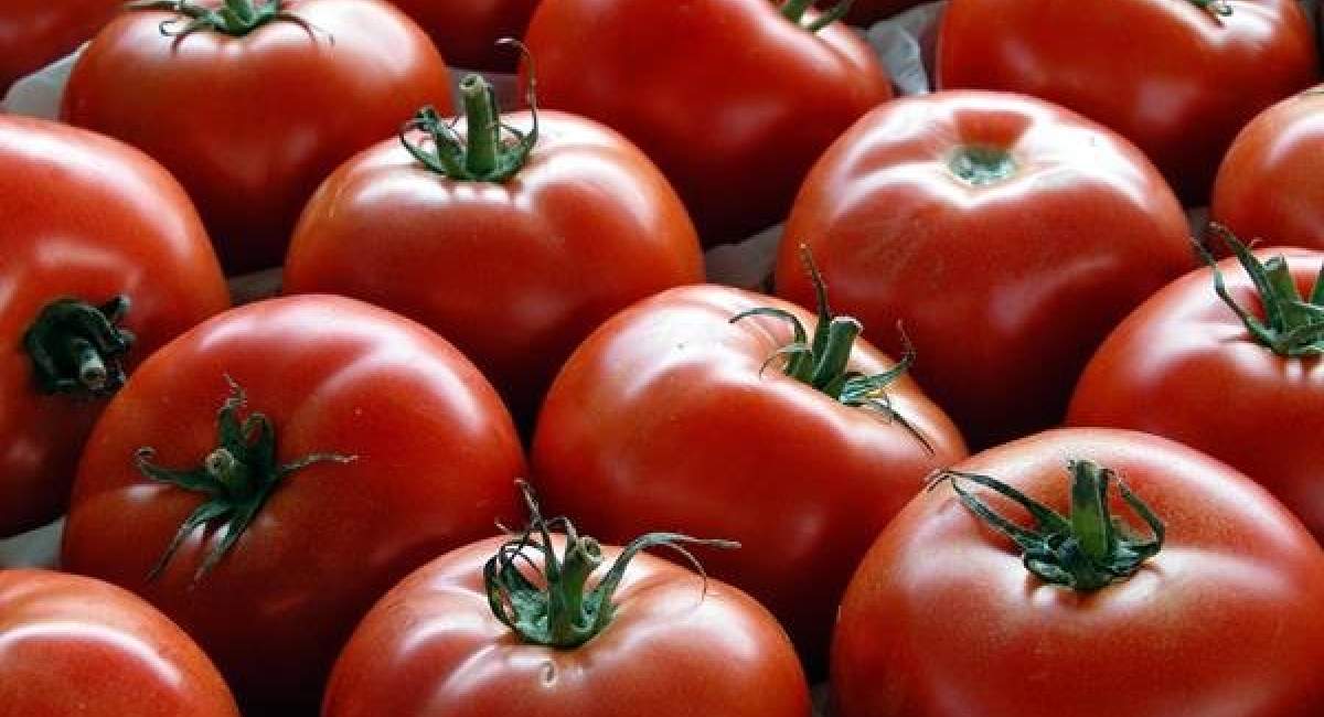 صادرات مواد غذایی از سوی کشورهای عربی به اسرائیل
