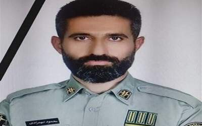 دو ضارب محیط بان شهید شهمرادی دستگیر شدند