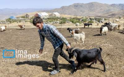 کوچ ییلاقی عشایر «قاراداغ»  <img src="https://cdn.jahannews.com/images/picture_icon.png" width="16" height="16" border="0" align="top">