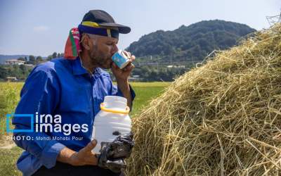 عکس/ بهترین احساس بعد از یک کار سخت