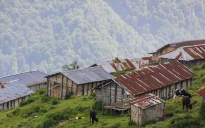 کاهش نسبی دما در نیمه شمالی کشور