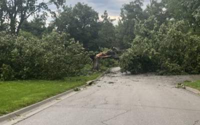 بعد از سیل طوفان هم در آمریکا قربانی گرفت +فیلم  <img src="https://cdn.jahannews.com/images/video_icon.png" width="16" height="16" border="0" align="top">