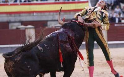 مرگ هولناک ورزشکار کلمبیایی با شاخ گاو +فیلم  <img src="https://cdn.jahannews.com/images/video_icon.png" width="16" height="16" border="0" align="top">