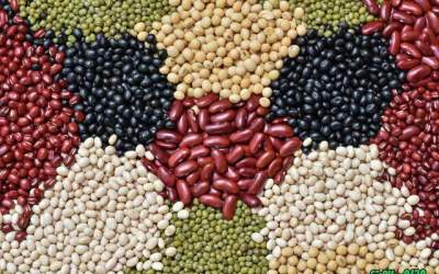 آیا مصرف حبوبات فشار خون را بالا می‌برد؟