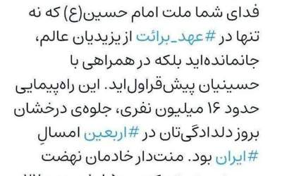 در همایش جاماندگان اربعین ۱۶ میلیون نفر شرکت کردند