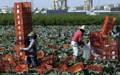 کارگران تایلندی قربانی آزار جنسی صهیونیست‌ها شدند