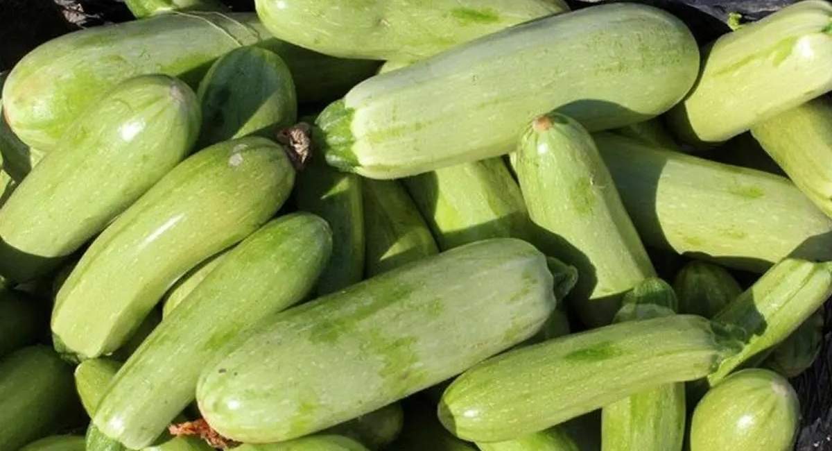 یک خوردنی مفید برای کاهش نفخ