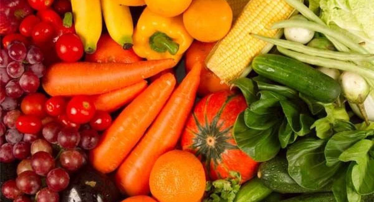 سختگیری سازمان غذا و دارو در کنترل محصولات تراریخته