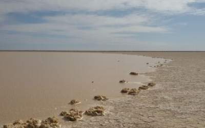 آخرین وضعیت منطقه هامون سیستان  <img src="https://cdn.jahannews.com/images/video_icon.png" width="16" height="16" border="0" align="top">