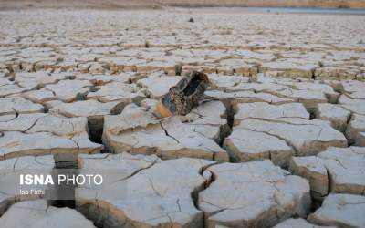 عکس/ لنگ کفشی در بیابان