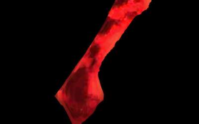 عکس/ ماه خونین واقعی!