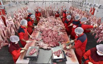 ۲۰ هزار تن گوشت وارد کشور شد