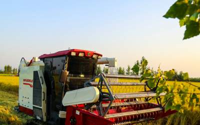 ۸۸ درصد شالیزارهای مازندران درو شد