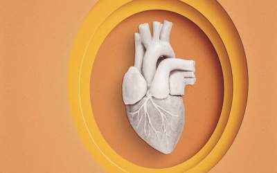 ارتباط مصرف بادام با بهبود سلامت قلب