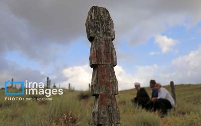 عکس/ قبرستانی عجیب با نشانه های چوبی