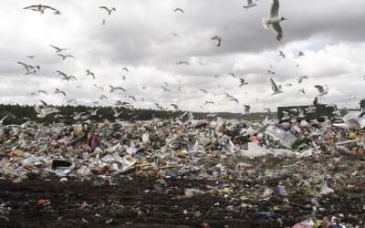 چین با بحران کمبود زباله مواجه شد