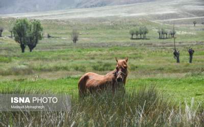 منطقه ییلاقی «دشت سفید»  <img src="https://cdn.jahannews.com/images/picture_icon.png" width="16" height="16" border="0" align="top">