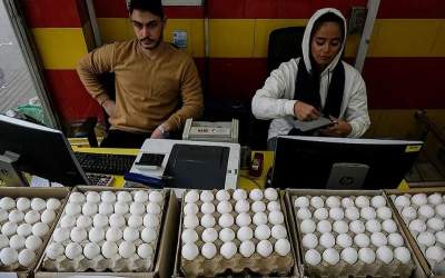 قیمت مصوب تخم‌مرغ در بازار اعلام شد