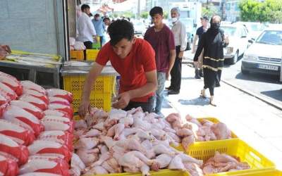 قیمت جدید گوشت مرغ و بوقلمون در بازار +جدول