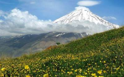 دلربایی اسب‌هایی وحشی در دامنه دماوند باشکوه  <img src="https://cdn.jahannews.com/images/video_icon.png" width="16" height="16" border="0" align="top">