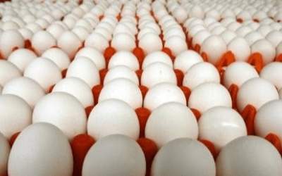 یک راهکار ساده برای کاهش قیمت تخم مرغ
