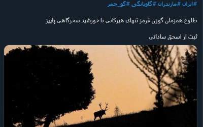 عکس/ طلوع گوزن قرمز هیرکانی با خورشید