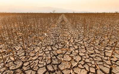 کدام مناطق دارای بیش‌ترین تنش آبی در جهان هستند؟