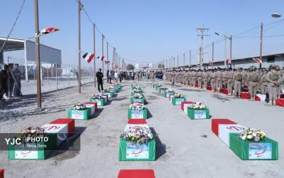 عکس/ بازگشت پرستوهای مهاجر به وطن