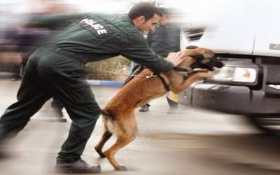 کشف مواد مخدر توسط سگ‌های موادیاب  <img src="https://cdn.jahannews.com/images/video_icon.png" width="16" height="16" border="0" align="top">