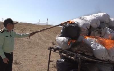 امحای یک و نیم تن مواد مخدر در زنجان +تصاویر