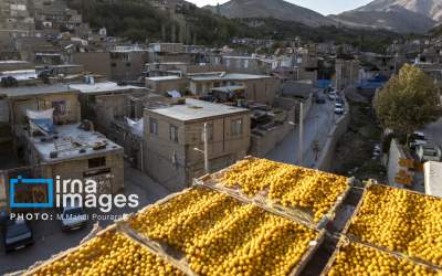 خُرو؛ پایتخت آلوی ایران  <img src="https://cdn.jahannews.com/images/picture_icon.png" width="16" height="16" border="0" align="top">