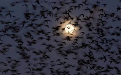 رویدادی شگفت‌انگیز پس از زلزله فیلیپین  <img src="https://cdn.jahannews.com/images/video_icon.png" width="16" height="16" border="0" align="top">