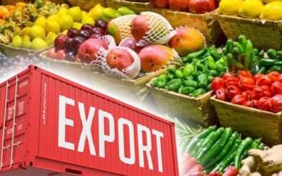 صادرات محصولات کشاورزی ایران به ۸۰ کشور