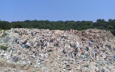 زباله‌گردی در تهران ۸۰ درصد کمتر شد