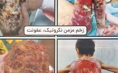 نامه مدیرعامل خانه ای‌بی به فاطمه هاشمی